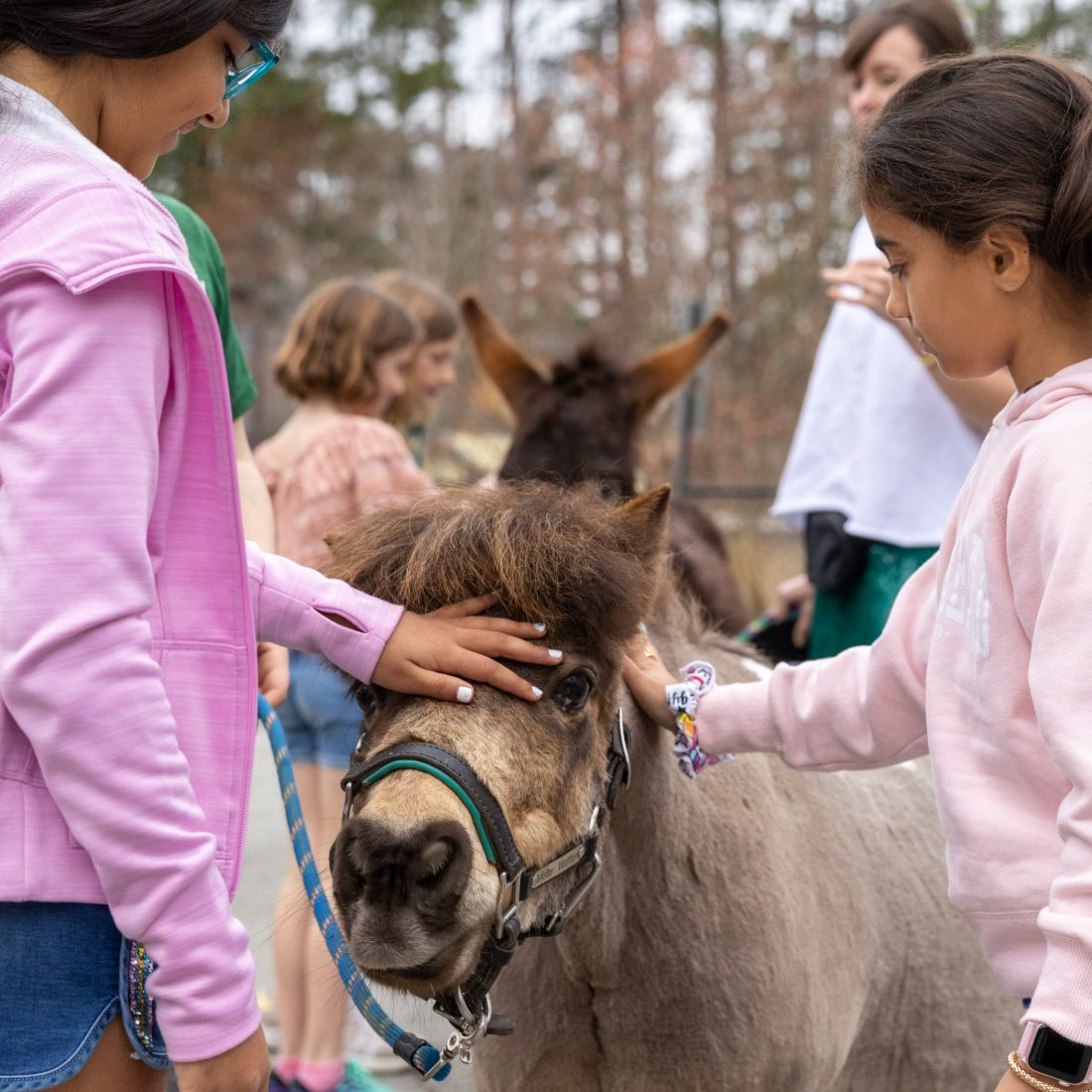 Two girls gently petting Mister Waffles